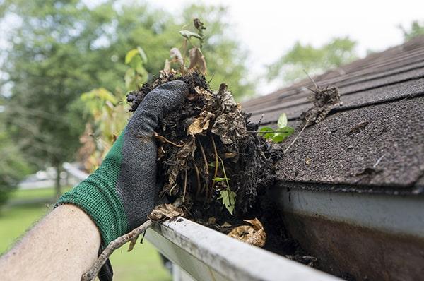 regular gutter cleaning can prevent water damage, foundation issues, and mold growth